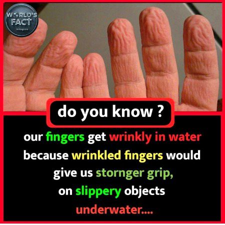 Interesting Posts image