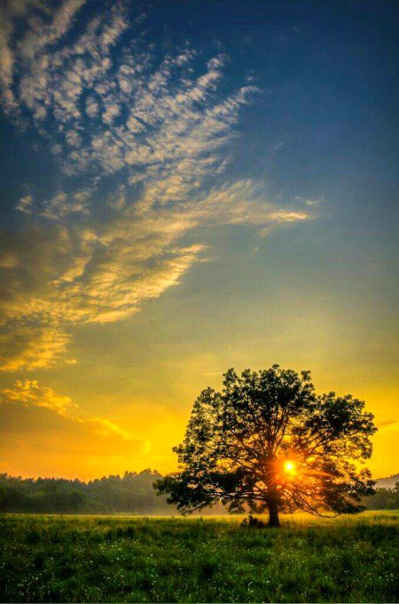 Beautiful Nature image