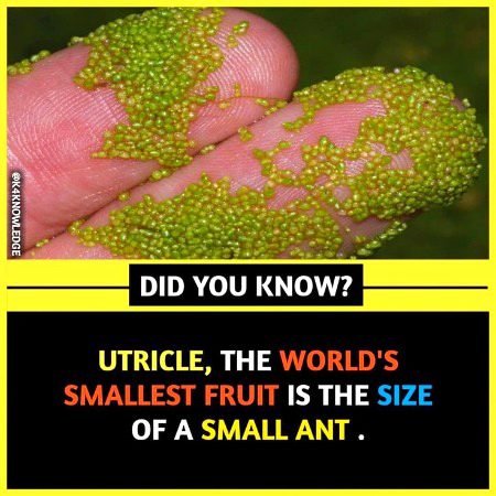 Interesting Posts image