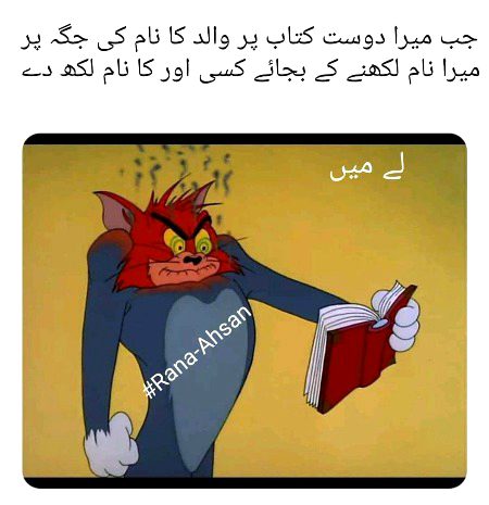 Memes & Satire image