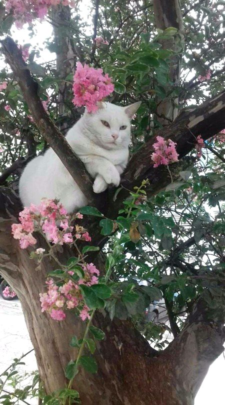 Beautiful Nature image