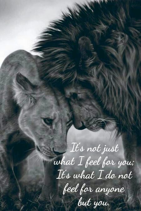 Romantic Poetry image
