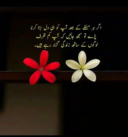 Social media post