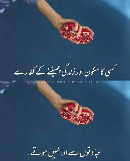Life Advice image