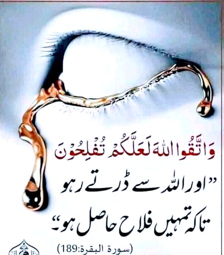 Islamic Quotes image