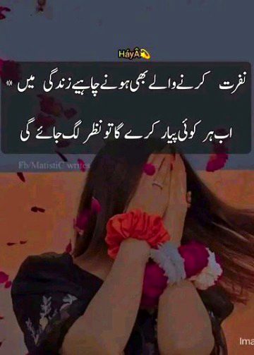 Attitude Quotes image