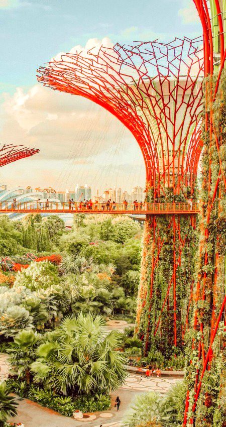 Beautiful Structures image