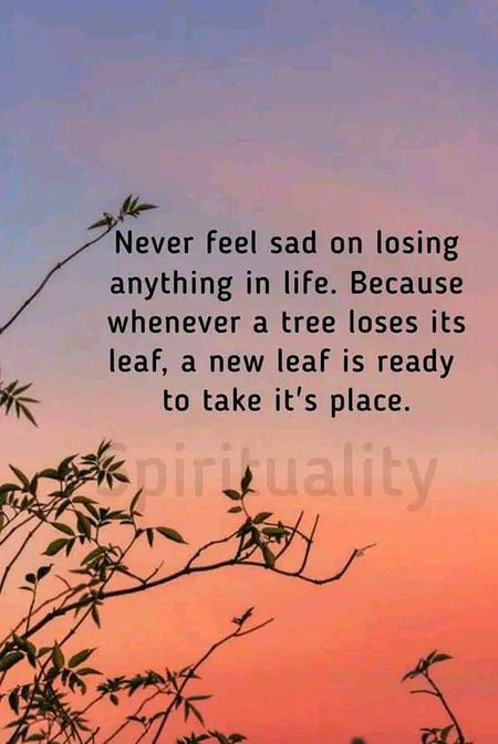 Motivational Quotes image