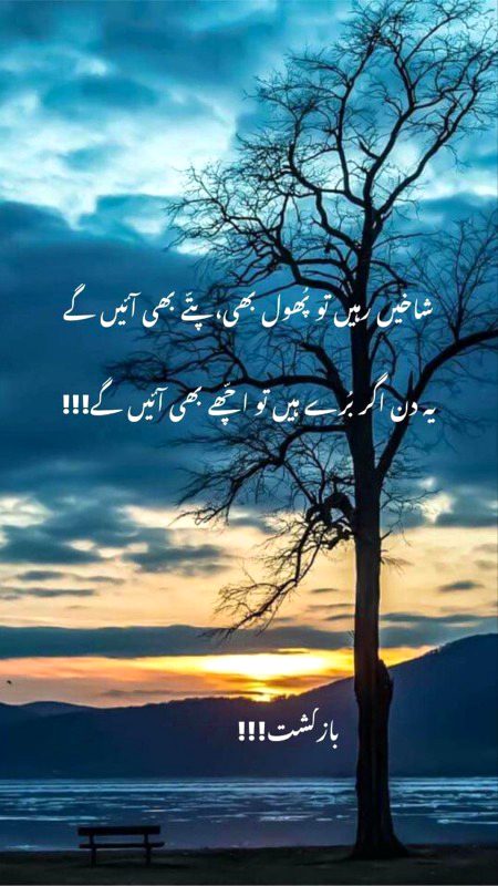 Beautiful Nature image