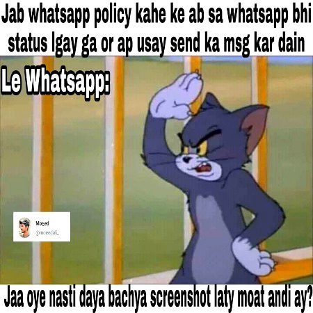 Memes & Satire image