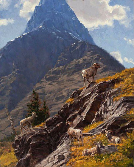 Beautiful Nature image