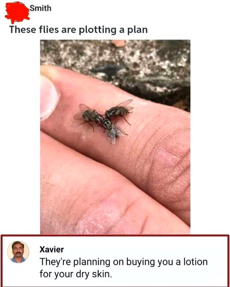 Memes & Satire image