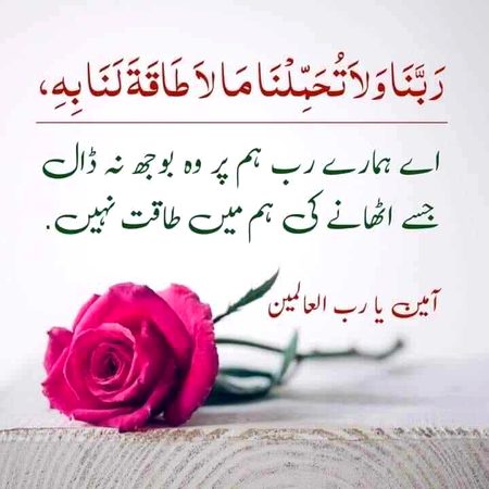 Islamic Quotes image