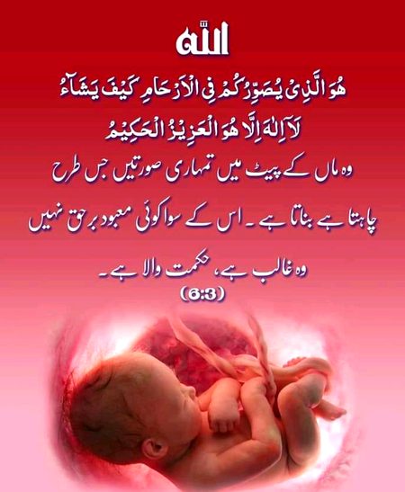 Islamic Quotes image