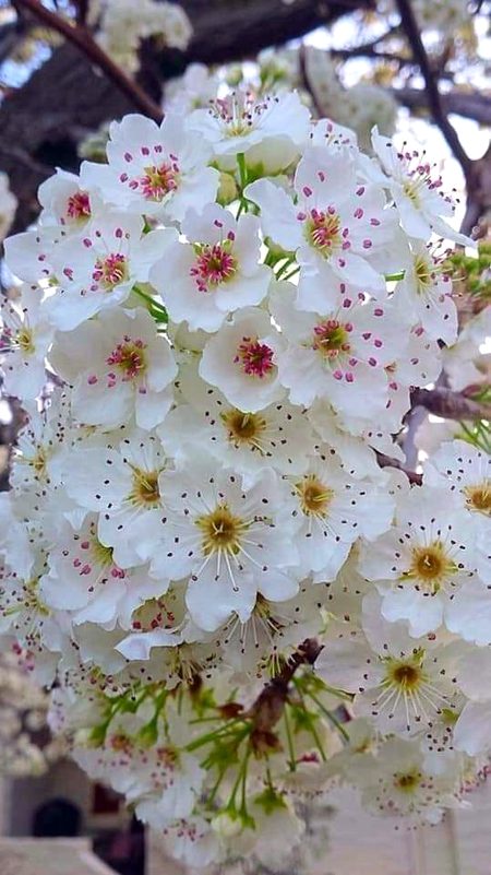 Beautiful Nature image