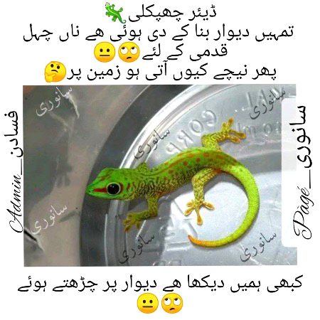 Social media post
