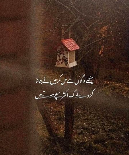 Attitude Quotes image