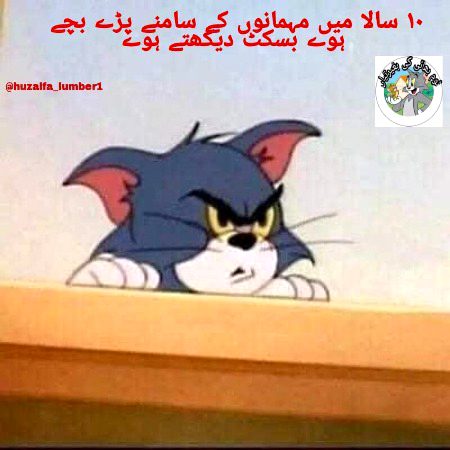 Memes & Satire image