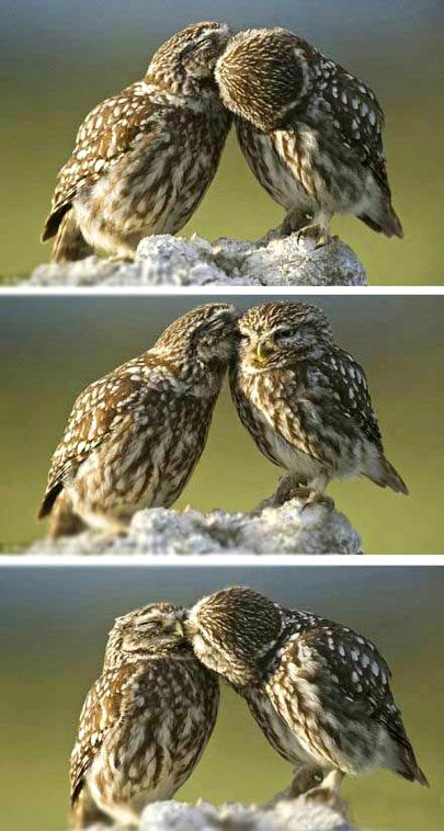 Beautiful Nature image