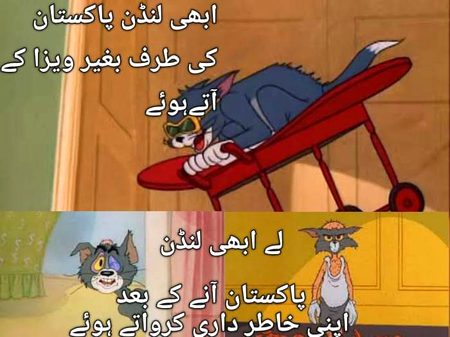 Memes & Satire image