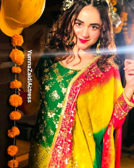 Pakistani Celebs image