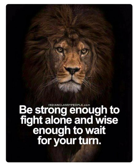 Motivational Quotes image