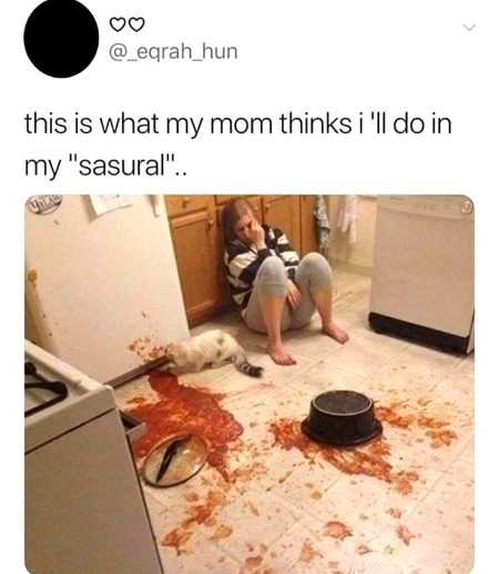 Memes & Satire image