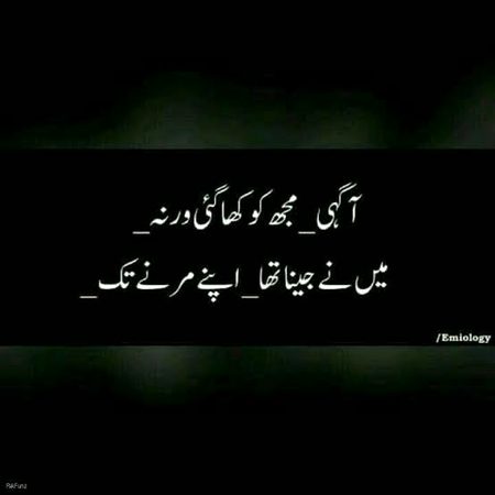Sad Poetry image