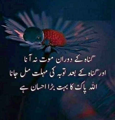 Islamic Quotes image