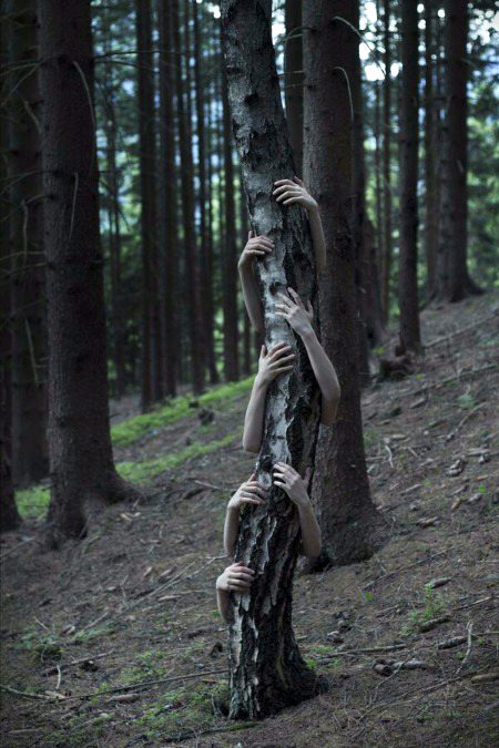 Beautiful Nature image