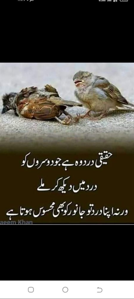 Life Advice image