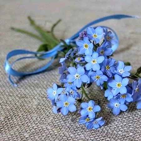 Beautiful Nature image