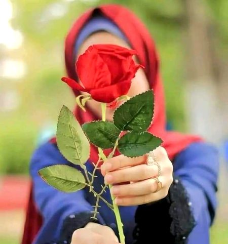 Beautiful Nature image