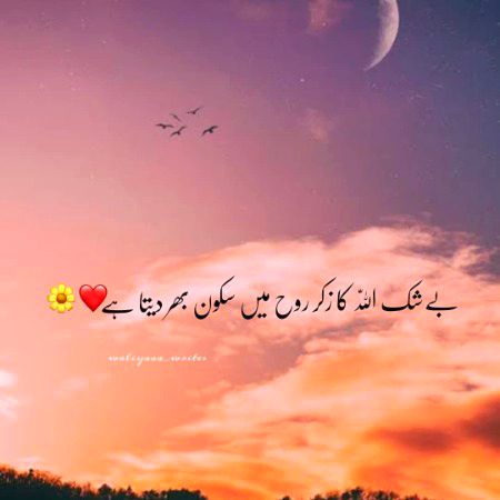 Islamic Quotes image