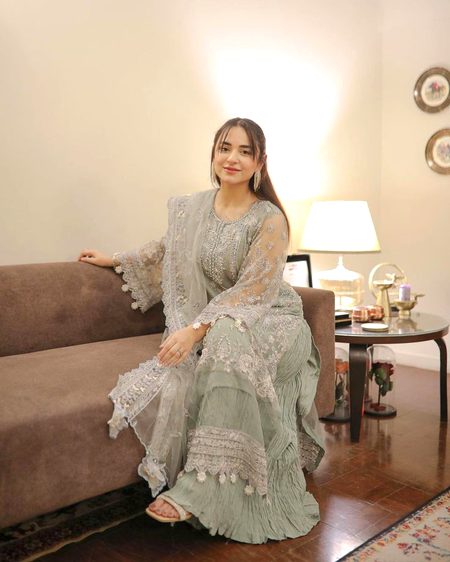 Pakistani Celebs image