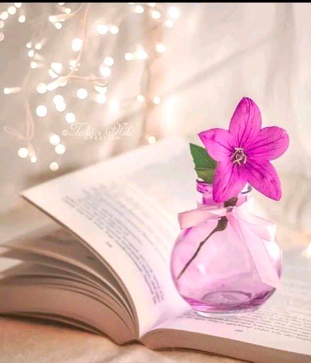 Beautiful Nature image