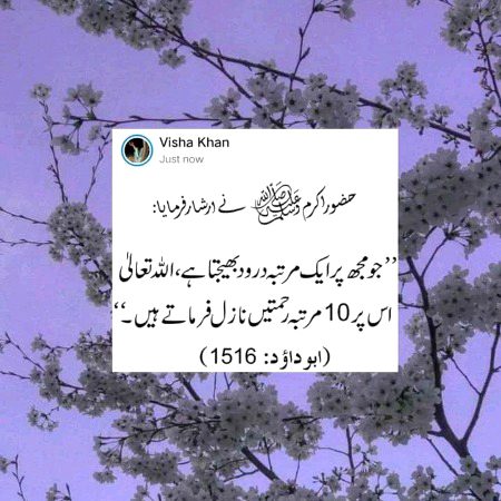 Islamic Quotes image