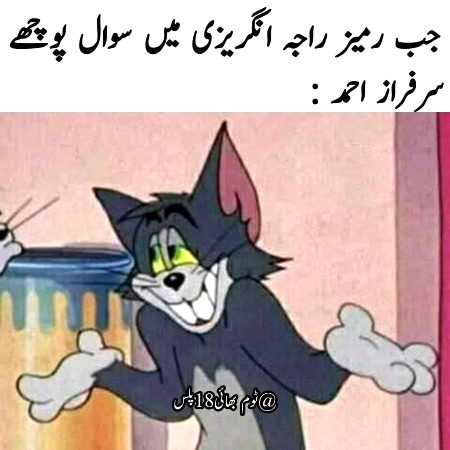 Memes & Satire image