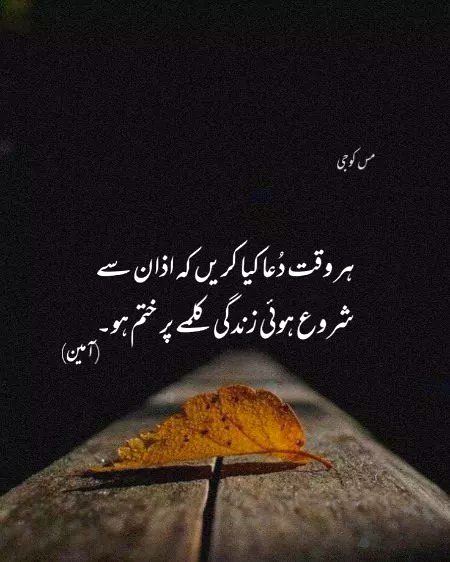 Islamic Quotes image