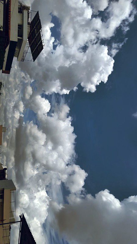 Beautiful Nature image