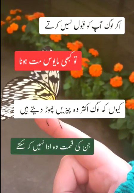 Social media post