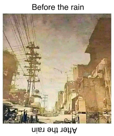 Memes & Satire image