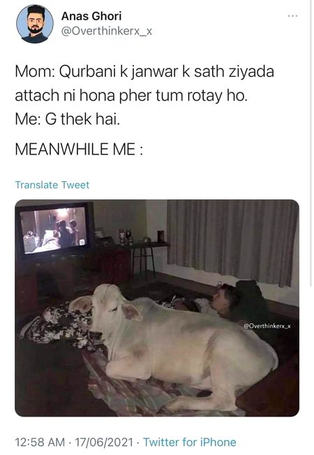 Memes & Satire image