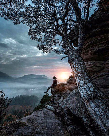 Beautiful Nature image