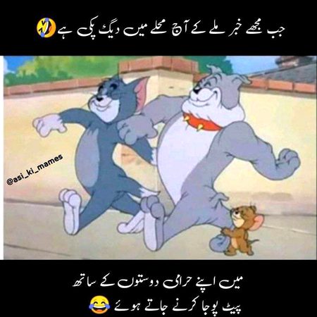 Memes & Satire image