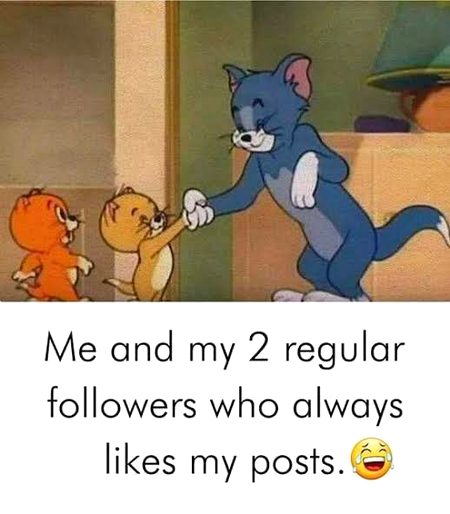 Memes & Satire image