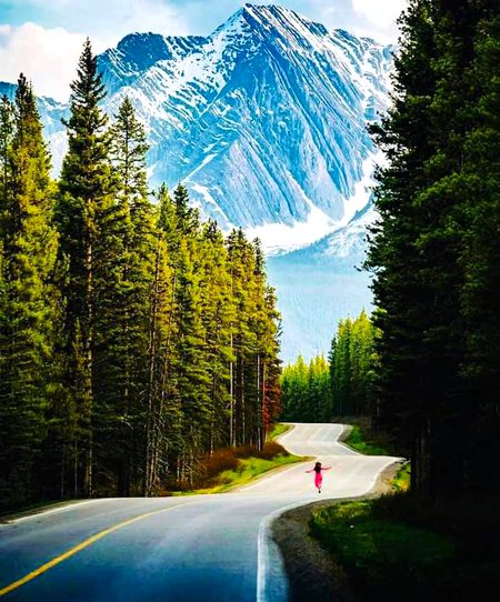 Beautiful Nature image