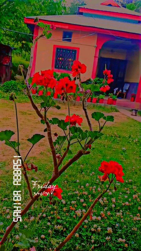 Beautiful Nature image