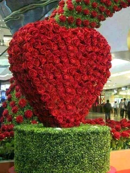 Beautiful Nature image