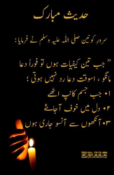 Islamic Quotes image